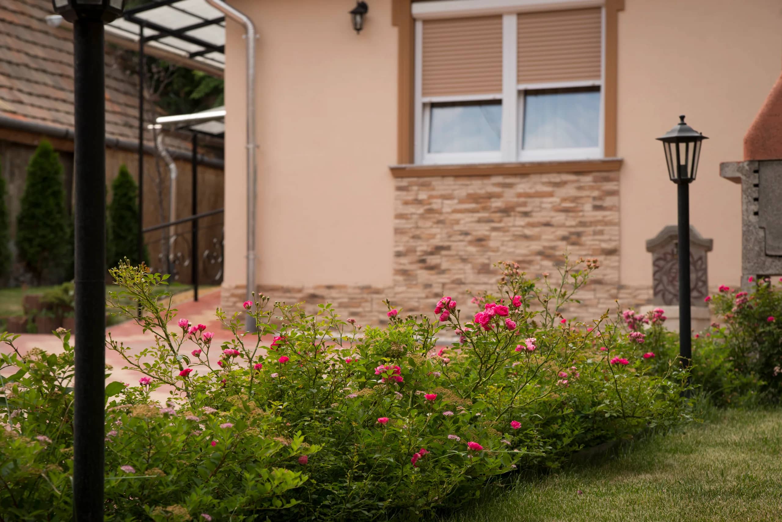 Rózsás virágágyás