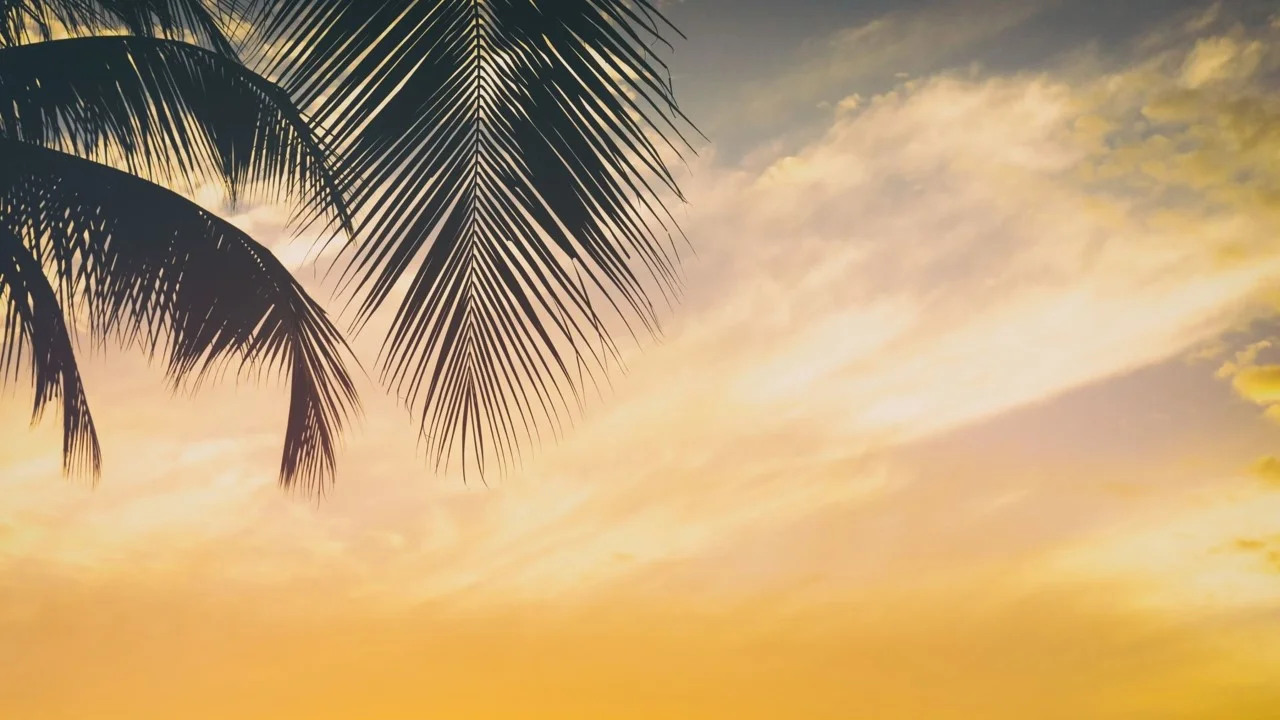 Február Egerben – Téli feltöltődés a tavasz előtt