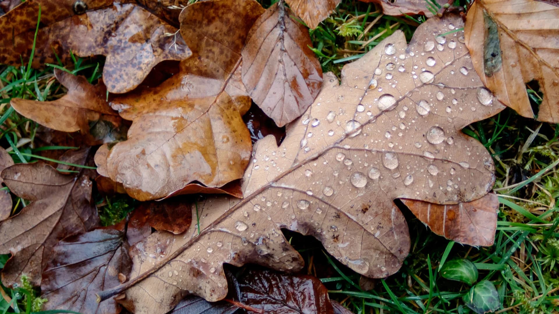 Májusi eső aranyat ér Egerben - tavaszi pihenés, esős hétvége és szállás